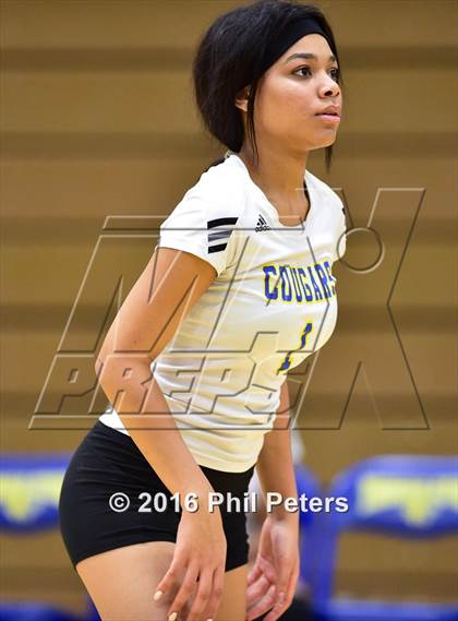 Thumbnail 3 in McDonough vs. Stone photogallery.