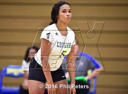 Thumbnail 1 in McDonough vs. Stone photogallery.