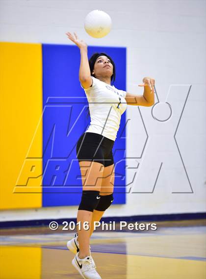 Thumbnail 1 in McDonough vs. Stone photogallery.