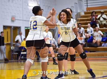 Thumbnail 2 in McDonough vs. Stone photogallery.