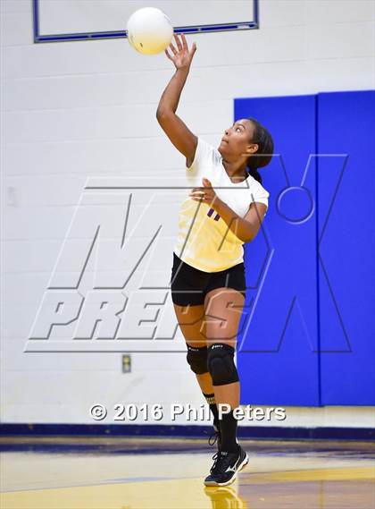 Thumbnail 1 in McDonough vs. Stone photogallery.
