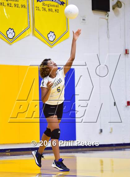 Thumbnail 3 in McDonough vs. Stone photogallery.