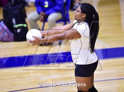 Thumbnail 1 in McDonough vs. Stone photogallery.