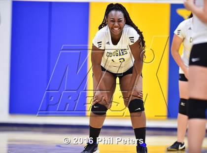 Thumbnail 2 in McDonough vs. Stone photogallery.