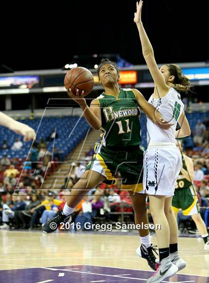 Thumbnail 1 in Pinewood vs Miramonte (CIF NorCal Regional Open Division Final) photogallery.