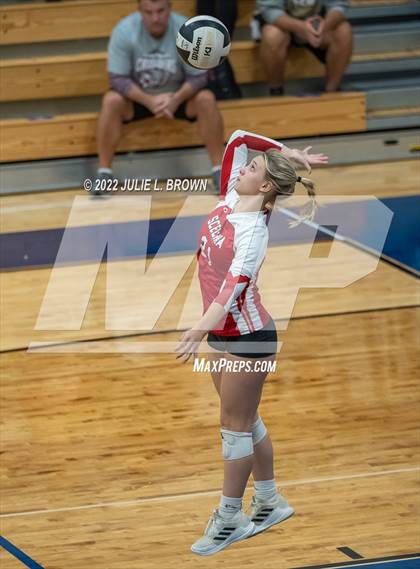 Thumbnail 2 in Cathedral vs Indianapolis Scecina Memorial (City Tourney final) photogallery.