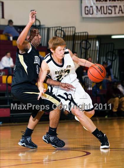 Thumbnail 2 in Liberty vs. Henrietta (Fantasy of Lights) photogallery.