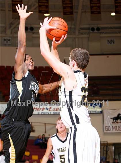 Thumbnail 1 in Liberty vs. Henrietta (Fantasy of Lights) photogallery.