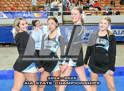 Thumbnail 3 in Stunt and Game Day Cheer Championships (AIA Division I, II, III and IV Awards) photogallery.