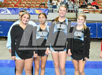 Thumbnail 2 in Stunt and Game Day Cheer Championships (AIA Division I, II, III and IV Awards) photogallery.