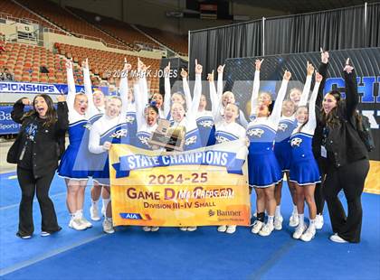 Thumbnail 3 in Stunt and Game Day Cheer Championships (AIA Division I, II, III and IV Awards) photogallery.