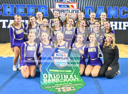 Thumbnail 2 in Stunt and Game Day Cheer Championships (AIA Division I, II, III and IV Awards) photogallery.