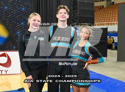 Thumbnail 3 in Stunt and Game Day Cheer Championships (AIA Division I, II, III and IV Awards) photogallery.
