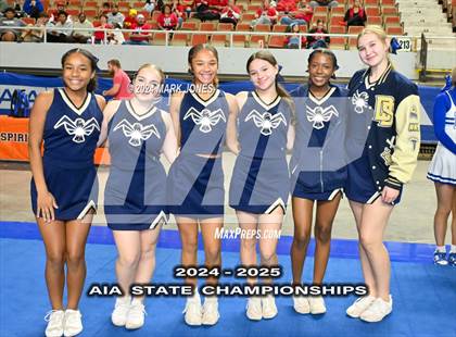 Thumbnail 2 in Stunt and Game Day Cheer Championships (AIA Division I, II, III and IV Awards) photogallery.