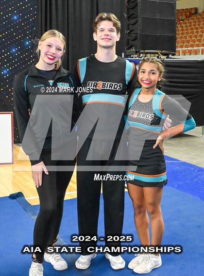 Thumbnail 1 in Stunt and Game Day Cheer Championships (AIA Division I, II, III and IV Awards) photogallery.