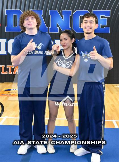 Thumbnail 2 in Stunt and Game Day Cheer Championships (AIA Division I, II, III and IV Awards) photogallery.