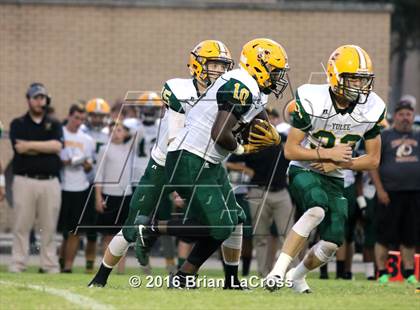 Thumbnail 1 in Yulee @ West Nassau photogallery.