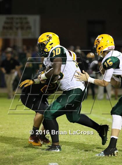 Thumbnail 3 in Yulee @ West Nassau photogallery.