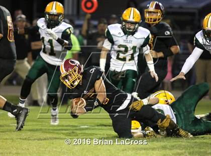 Thumbnail 3 in Yulee @ West Nassau photogallery.
