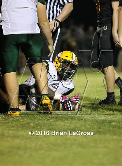 Thumbnail 3 in Yulee @ West Nassau photogallery.