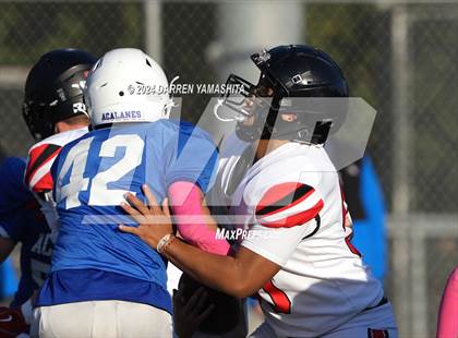 Thumbnail 2 in Clayton Valley Charter @ Acalanes photogallery.