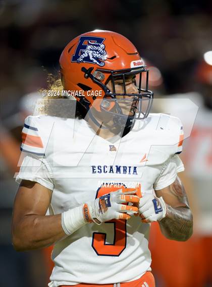 Thumbnail 2 in Escambia @ Niceville photogallery.