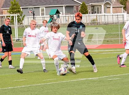 Thumbnail 1 in Weber @ Farmington photogallery.