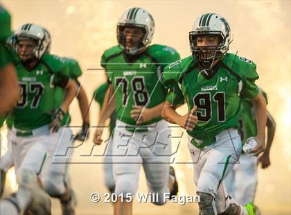 Thumbnail 1 in Milton @ Roswell photogallery.
