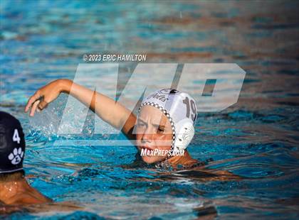 Thumbnail 3 in Crespi @ Loyola photogallery.