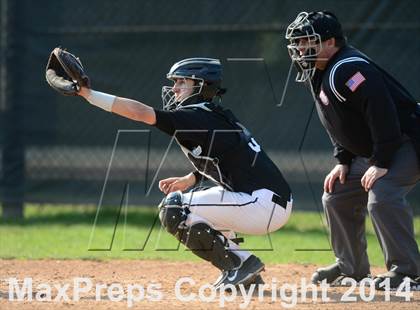 Thumbnail 3 in Xavier @ Branford photogallery.