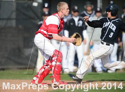 Thumbnail 1 in Xavier @ Branford photogallery.