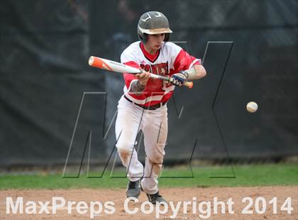 Thumbnail 1 in Xavier @ Branford photogallery.