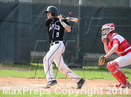 Thumbnail 3 in Xavier @ Branford photogallery.
