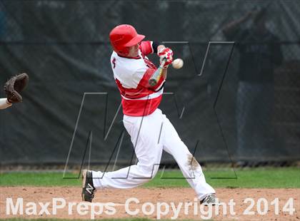 Thumbnail 3 in Xavier @ Branford photogallery.