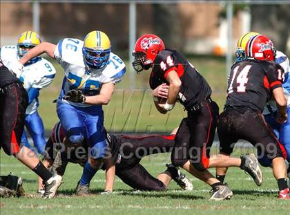 Thumbnail 3 in West Seneca West @ Clarence photogallery.