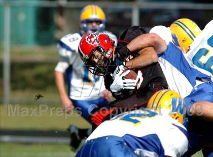 Thumbnail 3 in West Seneca West @ Clarence photogallery.