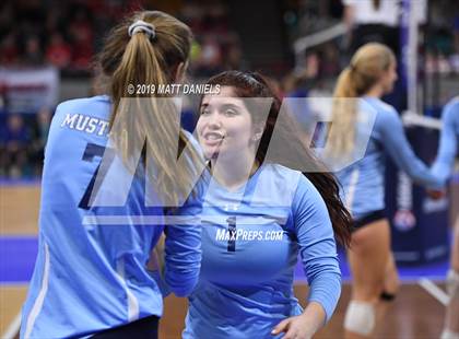 Thumbnail 2 in Cherokee Trail vs. Ralston Valley (CHSAA 5A Playoff) photogallery.