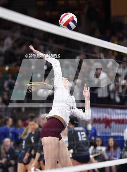 Thumbnail 1 in Cherokee Trail vs. Ralston Valley (CHSAA 5A Playoff) photogallery.