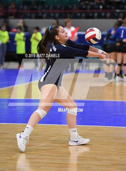 Thumbnail 2 in Cherokee Trail vs. Ralston Valley (CHSAA 5A Playoff) photogallery.