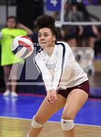 Photo from the gallery "Cherokee Trail vs. Ralston Valley (CHSAA 5A Playoff)"