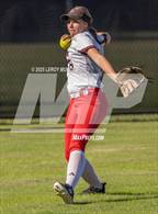 Photo from the gallery "Islands @ Harlem"