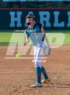 Photo from the gallery "Islands @ Harlem"