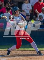 Photo from the gallery "Islands @ Harlem"