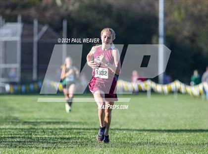 Thumbnail 1 in PIAA District IV Class A Championship photogallery.