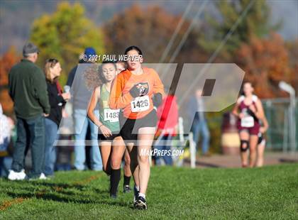Thumbnail 3 in PIAA District IV Class A Championship photogallery.