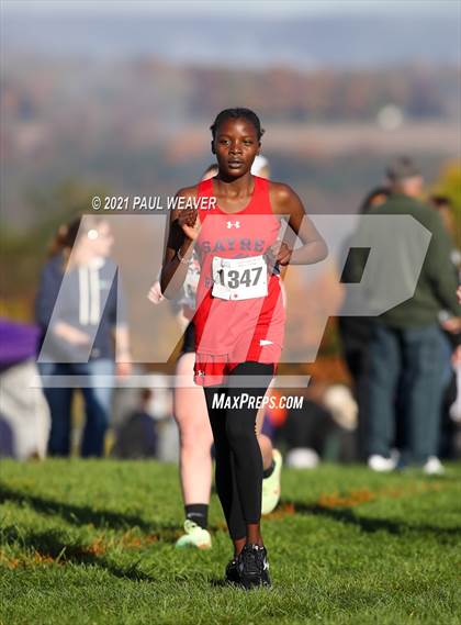 Thumbnail 1 in PIAA District IV Class A Championship photogallery.