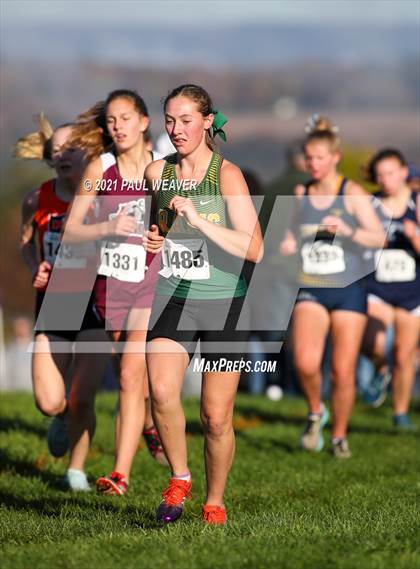 Thumbnail 1 in PIAA District IV Class A Championship photogallery.
