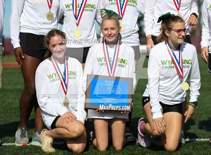 Thumbnail 1 in PIAA District IV Class A Championship photogallery.