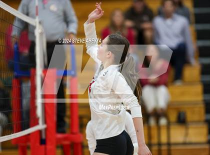Thumbnail 1 in Doherty @ Regis Jesuit photogallery.