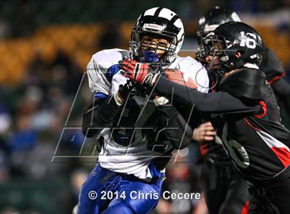 Thumbnail 2 in Haverling vs. Le Roy (Section 5 Class C Final) photogallery.